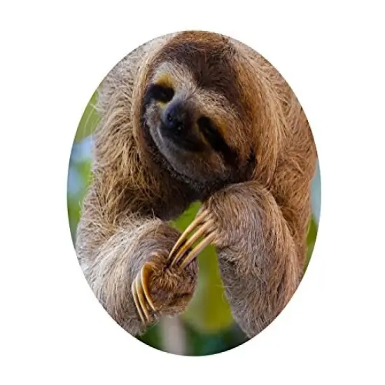 Smiling Sloth Edible Icing Image for 8 inch round cake {1}