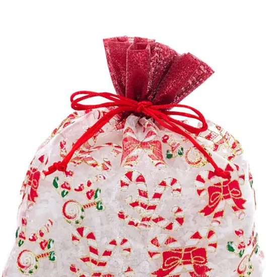 Candy Canes Christmas Bag with Red Ribbon 8&rdquo; x 10&rdquo; {3}