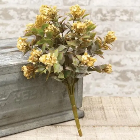 Late Bloomer Bush Cream {1}