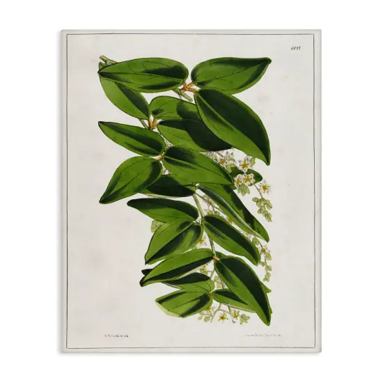 Stupell Industries Stacked Leaves Botanical Canvas Wall Art Design by Tina Higgins Designs, Inc. {1}