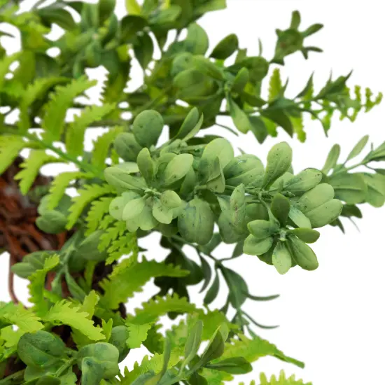 Northlight Fern Leaf Artificial Springtime Wreath - Green - 18" {6}