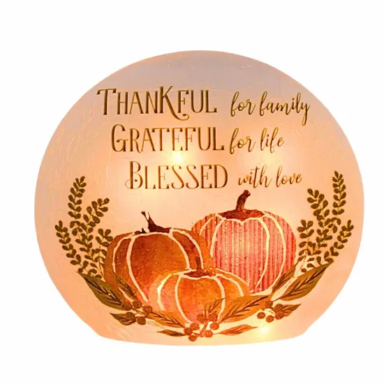 Stony Creek 6.5 Inch Beautiful Bounty Pre-Lit Orb Thanksgiving Lighted Glass Accent , Thanksgiving Decor Autumn Thanksgiving THANKFUL {1}