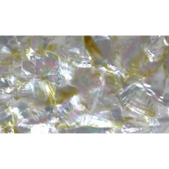 Shell Veneer, 5.5 x 9.5 inches | WMOP, BMOP, Abalone | Includes 3M Adhesive Sheet for Application, Great for Inlay Projects Natural Gold Fleck {1}