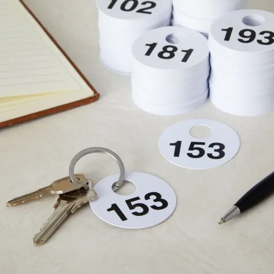 2 Sets of Round Numbered Tags 1-300, Double-Sided Plastic Coat Check Tickets (1.7 In, 600 Pieces Total) {4}