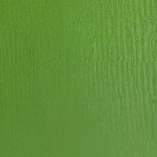 PARSLEY - Textured 12x12 Cardstock - Encore Paper {1}