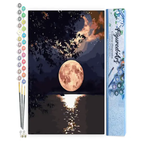 Figured'Art Paint by Numbers Kit for Adults Moon Reflection on the Lake 16"x20" - Craft Art Painting DIY Kit Rolled Canvas without frame {1}