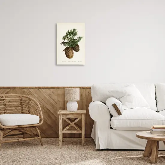 Stupell Industries Cedar Tree Pinecones Canvas Wall Art Design by Tina Higgins Designs, Inc. {2}