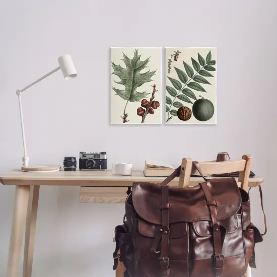 Stupell Industries Tree Leaves & Nuts 2pc Wall Plaque Art Set Design by Graffi*tee Studios {2}