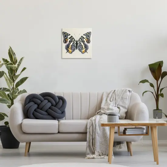 Stupell Industries Speckled Butterfly Sketch Canvas Wall Art Design by Susan Arnot {2}