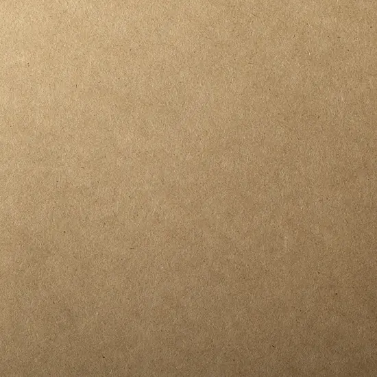 Brown Bag Kraft 12 1/2" x 19" 65# Cover Sheets Bulk Pack of 100 Sheets {1}
