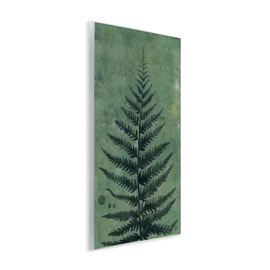 Stupell Industries Rustic Fern Impression Wall Plaque Art Design by Lydia Orange {3}