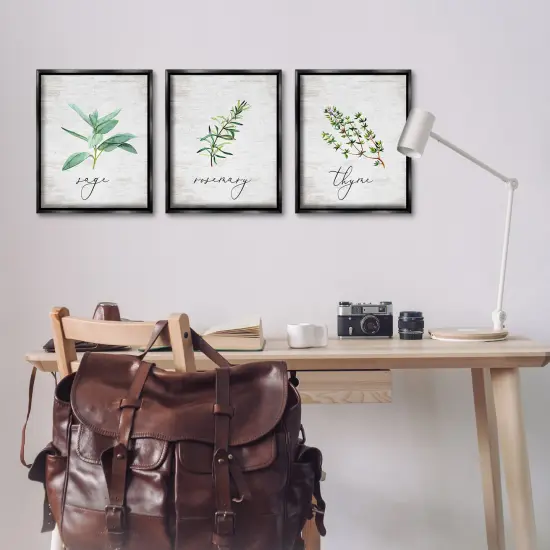 Stupell Industries Charming Summer Kitchen Herbs 3pc Floater Framed Canvas Wall Art Set Design by Lettered and Lined {2}