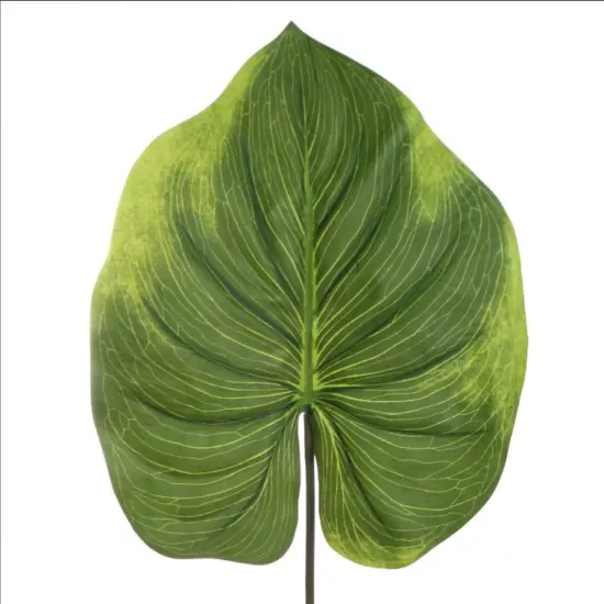 33" Real Touch Alocasia Leaf Stem {1}