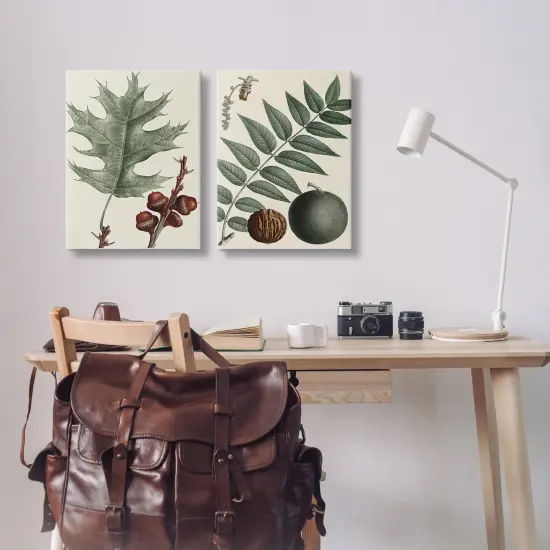 Stupell Industries Tree Leaves & Nuts 2pc Canvas Wall Art Set Design by Graffi*tee Studios {2}