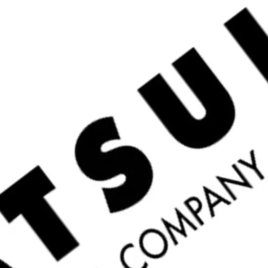 Matsui Thickener B {3}