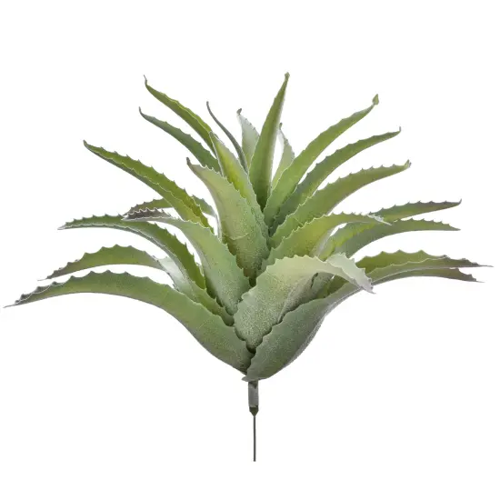 Artificial Succulent Large Green Aloe Elgonica Succulent Pick by Succulent Superstore, 1 pcs {4}