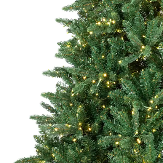Northlight Real Touch&trade; Elite Pre-Lit Calgary Pine IPT Artificial Christmas Tree - 12' Dual Color LED Green {6}