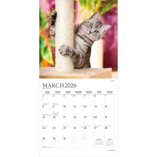 I Love Cats | 2026 12 x 24 Inch (Hanging) Monthly Square Wall Calendar | Foil Stamped Cover {3}