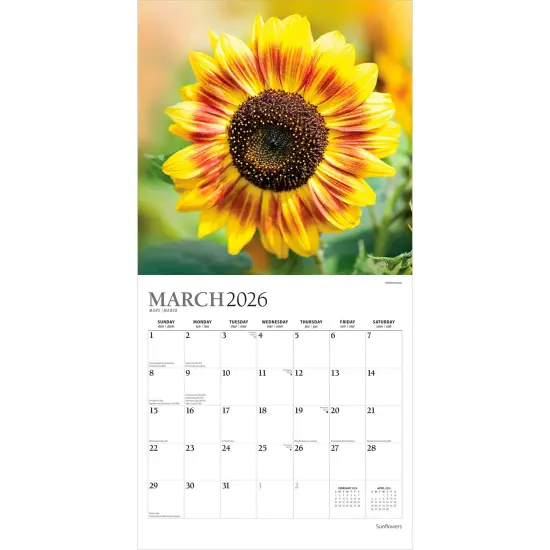 Sunflowers | 2026 12 x 24 Inch (Hanging) Monthly Square Wall Calendar | Foil Stamped Cover {3}