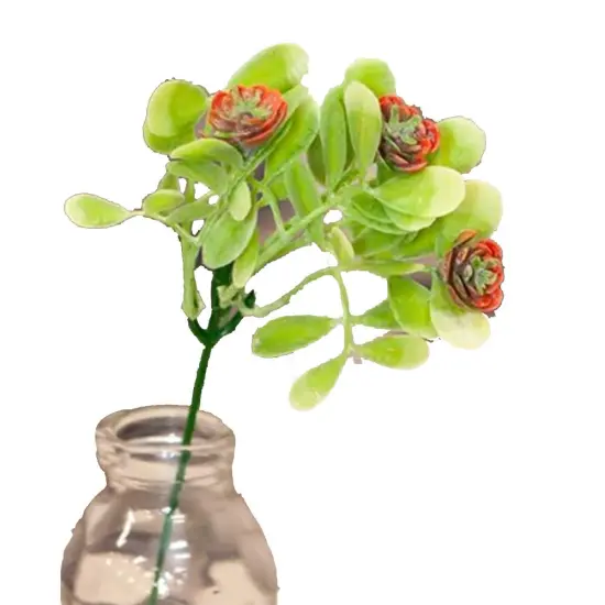 Coral Buds Succulent Bush 8" {1}