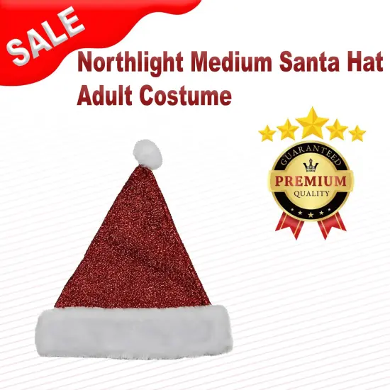 Northlight Medium Santa Hat Adult Costume {1}