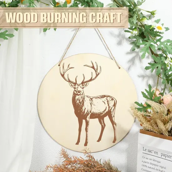 20 Pcs 12 Inch Wood Rounds for Crafts Unfinished Blank Wooden Circle Signs Discs {5}