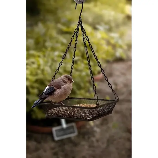 Black Iron Mesh Weatherproof Hanging Bird Feeder Tray with Chain and Perch {4}