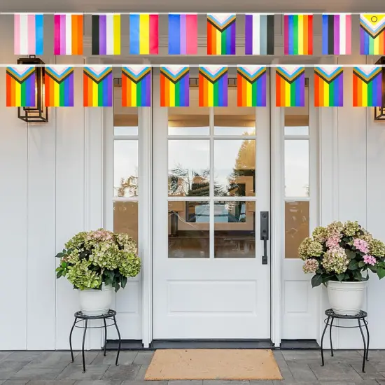 2Pcs Pride Flag Rainbow Banner, 32.8ft LGBT Flag Pride Decorations, LGBT String Flags Rainbow Flag Gay Pride Flag, Colorful Gay Flag Pride Decor for LGBT Party Rainbow Party (2 Styles, 60 Flags) {3}