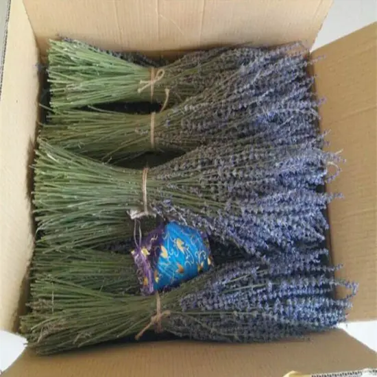 Lavender Dried Ultra Blue Bundles 200+ Stems (16" - 18" Long) for Home Decor, Crafts, Gift,Wedding or Any Occasion {3}