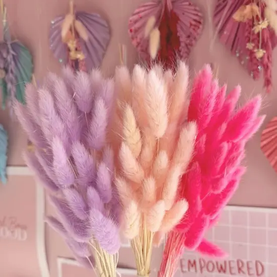 120pcs Light-Purple Bunny Tail Pampas Grass Dried Flowers for Vase Boho Flowers Dried Babys Breath Wedding Decor Dry Flowers for Vase (Purple 120 PCS) {3}
