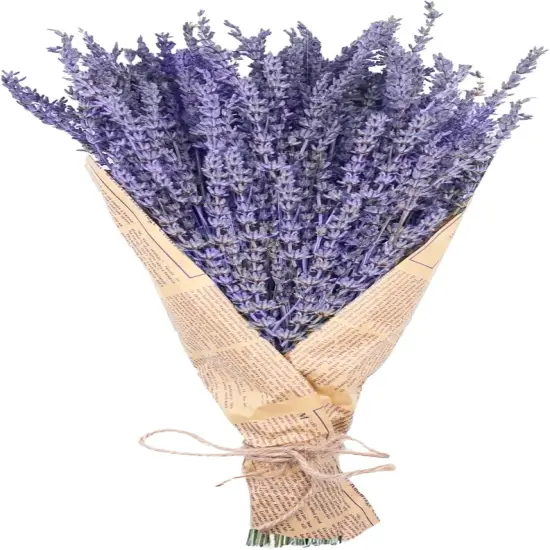 Dried Lavender Bundles, Natural Dried Lavender Flowers 150 Stems 15-17" for Shower Home Fragrance Weeding Crafts Decorr {1}