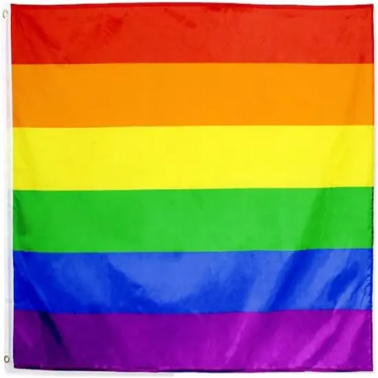 Gay Pride Flag - Rainbow Flag Decoration 2x3Fts {1}