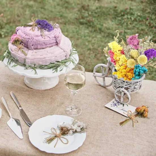 10 Pcs Mini Dried Flowers Bouquet Natural Gypsophila Don't Forget Me Dried Flowers Bouquet Plant Stem Bunch for DIY Craft Card Photo Props Vase Wedding Decor {4}