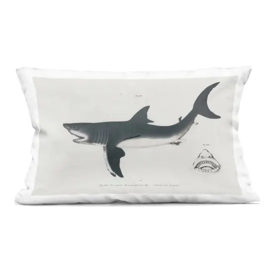 Stupell Industries Detailed Shark Diagram Decorative Printed Pillow design by Phillipa Katz, 14 x 7 x 20 {1}