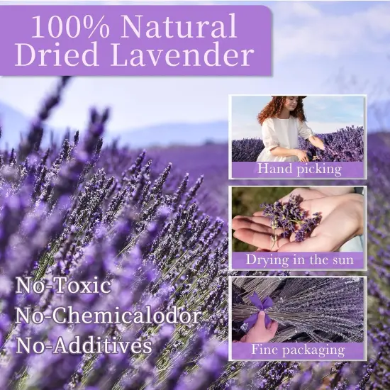 Dried Lavender Flowers Bundles, Natural Dry Lavender Flowers 220-240 Stems 16'' for Vase Home Wedding Party Decoration Arrangements Fragrance 3 Bundles {2}