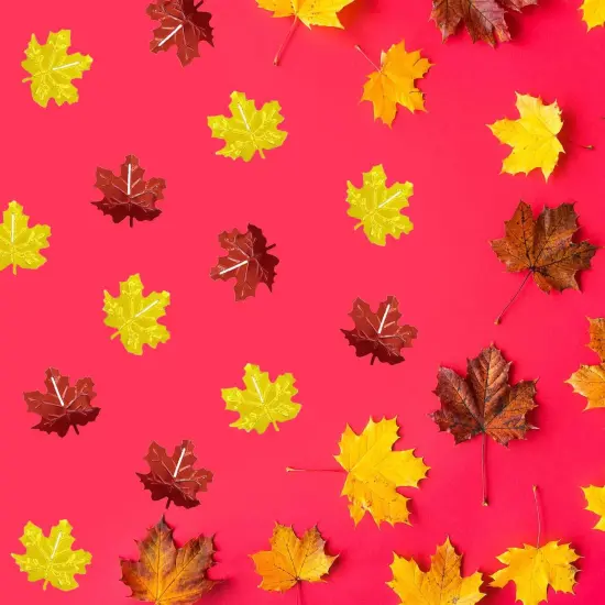 Thanksgiving Maple Leaves Confetti-Fall Autumn Party Leaf Confetti/Table Sequin Metallic Foil Scatter for Wedding Birthday Halloween Party Decoration Supplies 1.6OZ (Leaf) {2}