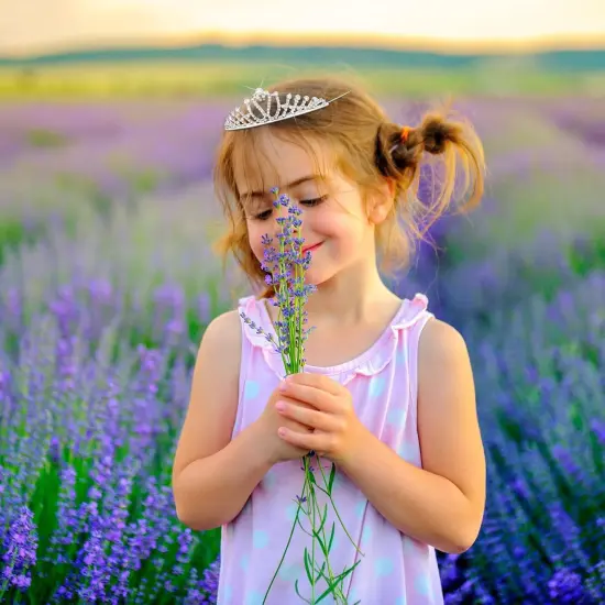 32 Pieces Girls Crystal Tiara Crown Rhinestone Tiara Headband Crystal Princess Tiaras Silver Heart Crown Headband {5}