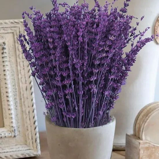 Dried Purple Lavender Flowers Bundle-Dried Preserved Lavender Bouquet 8-12" for Shower Weeding Home Vase Decor, Crafts, Aromatherapy, Fragrance, Fresh Silk Dry Live Plants, 90g(3.17oz) {1}