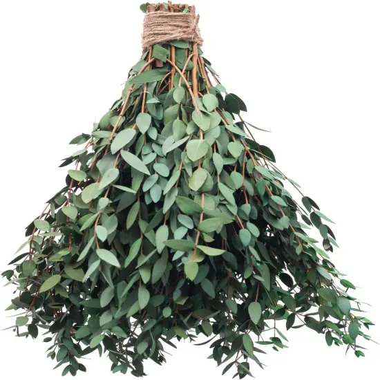 Large Dried Eucalyptus Stems - Real Preserved Fresh Eucalyptus Plant for Arrangement {1}