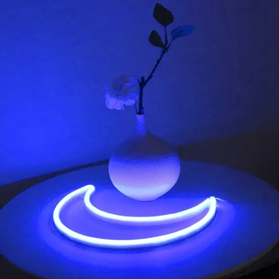 LED Blue Moon Neon Light, Cute Neon Moon Sign, USB or Battery Powered Decorative Night Light for Bedroom, Office, Dorm, Party, and Summer Events (Blue Moon) {2}