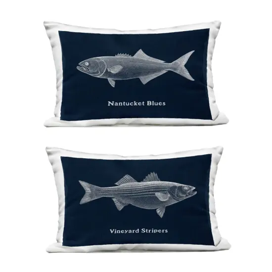 Stupell Industries Coastal Fish on Navy Blue 2pc Outdoor Printed Pillow Set design by Phillipa Katz, 14 x 7 x 20 {1}