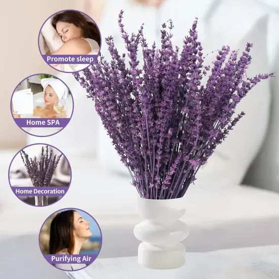 Dried Preserved Lavender Flowers Bundle-Natural Dried Lavender Bouquet 180-200 Stems 15''-17" for Wedding Home Shower Vase Decor, Aromatherapy, Fragrance, Fresh, Dry, 2 Packs {5}