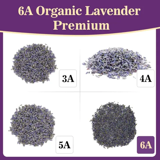 3oz Lavender Dried Lavender - Lavender Buds Sachets for Drawers and Closets Lavender Flowers Sachet Bags Fresh Scents Lavender Sachet Bags Dried Flowers for Patry Birthday Bridal Shower Bulk {1}