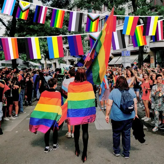 100 Pcs 105 Feet Pride Flags Banners, Gay Rainbow Banner String Lesbian Pansexual Bisexual LGBTQ Pennant Flags Bunting for Home Garden Bars Pride Month LGBT Party Decorations, 10 Styles {4}