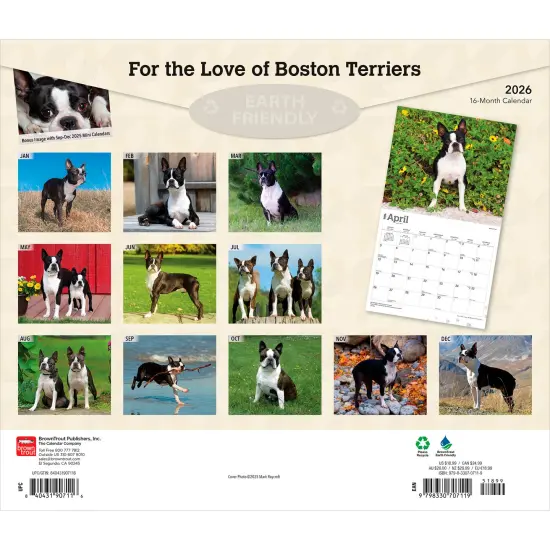 For the Love of Boston Terriers | 2026 14 x 24 Inch (Hanging) Monthly Deluxe Wall Calendar | Foil Stamped Cover | Plastic-Free {2}