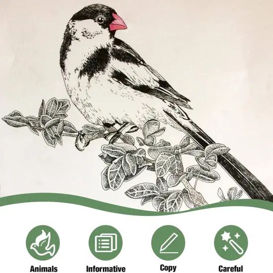 Chinese Painting White Drawing Copying Album {2}