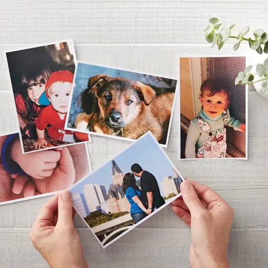 Koala Premium Glossy 61lb/230gsm Thick Inkjet Photo Paper in Multiple Sizes {4}