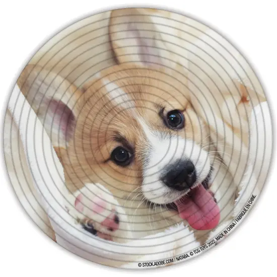 Spin Flip Puzzle: Puppies & Kittens 2L- 14 Rings - 2-In-1: Double-Sided Puzzle, Spin-Flip-Solve, 360 Degress Of Puzzling, Fidget Toy, Adults & Kids 8+ {6}