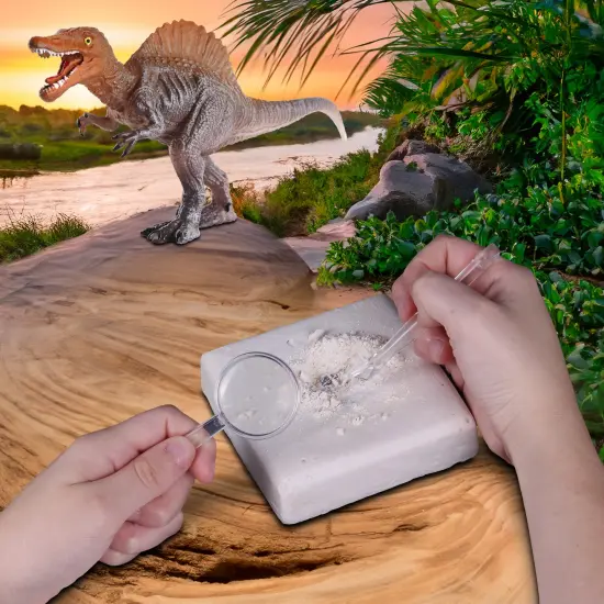 WowWorld: Dino Dig - Spinosaurus - All-In-One Dinosaur Skeleton Excavation Kit, Tools & Construction Figurine, Educational Science Toy, Kids Ages 6+ {5}