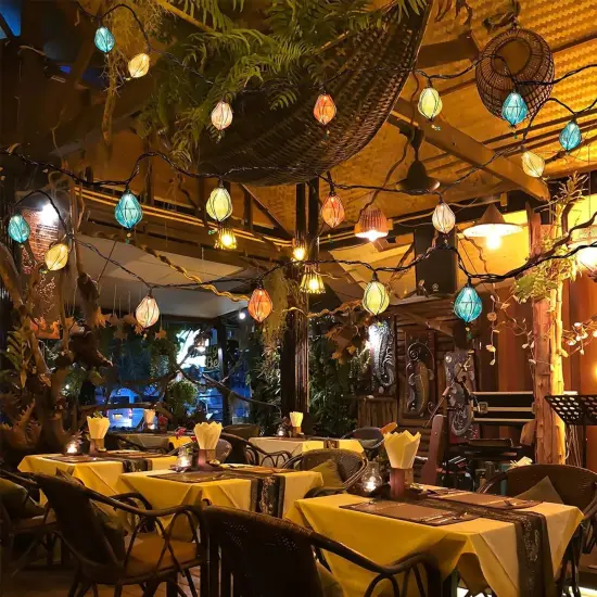 Multicolor Outdoor String Lights with 10 Bulbs {2}